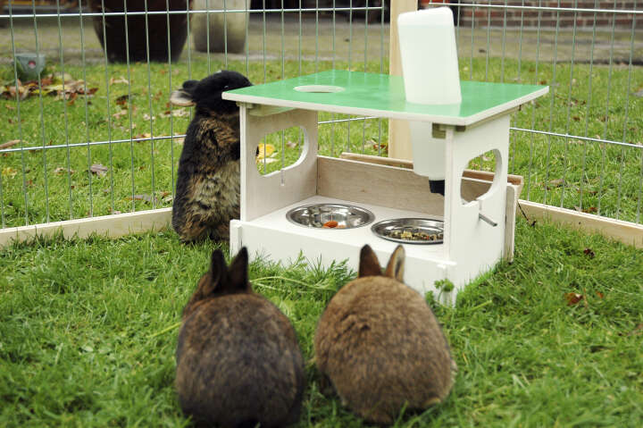 dobar Futterbar-Set Hopsi für Nager